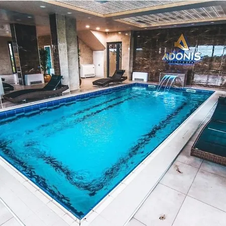 Sofrenic-adonis Zlatibor