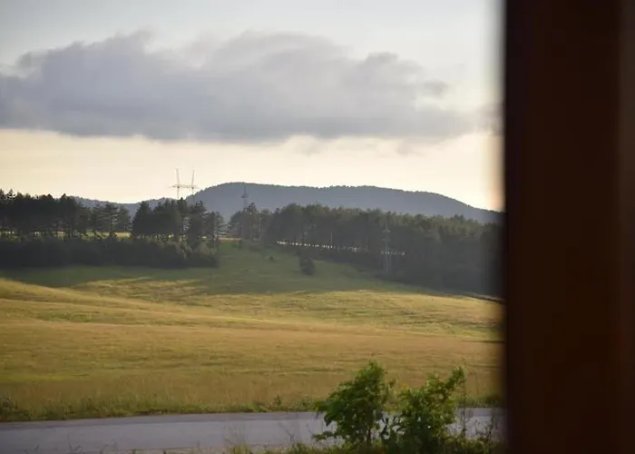 Apartmán Sofrenic-adonis Zlatibor